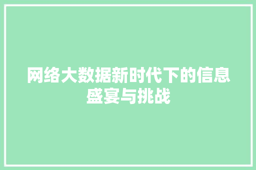 网络大数据新时代下的信息盛宴与挑战