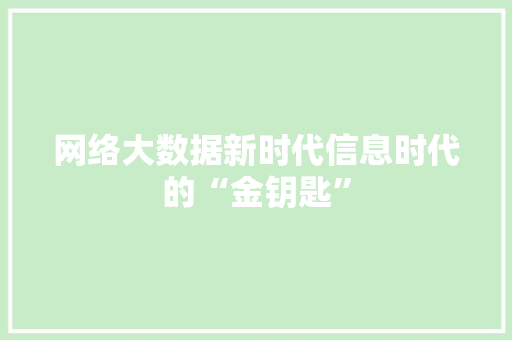网络大数据新时代信息时代的“金钥匙”