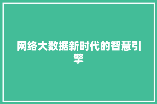 网络大数据新时代的智慧引擎