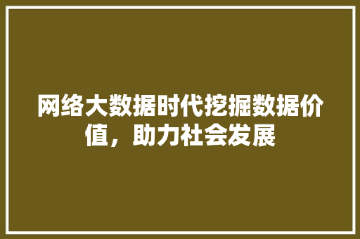 网络大数据时代挖掘数据价值，助力社会发展