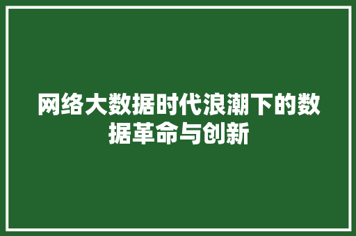 网络大数据时代浪潮下的数据革命与创新