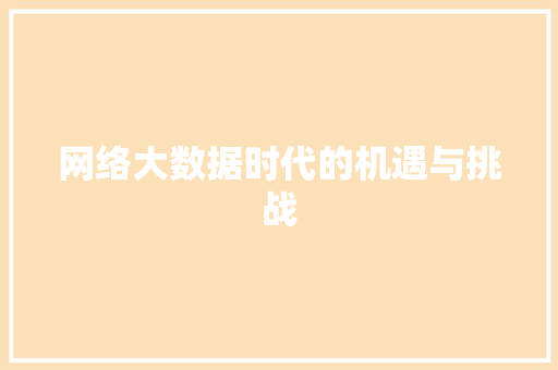 网络大数据时代的机遇与挑战