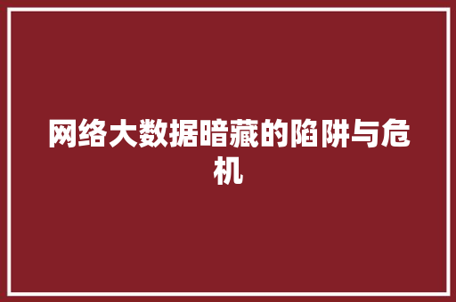 网络大数据暗藏的陷阱与危机