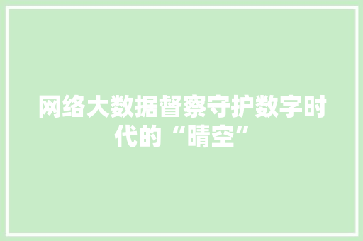 网络大数据督察守护数字时代的“晴空”