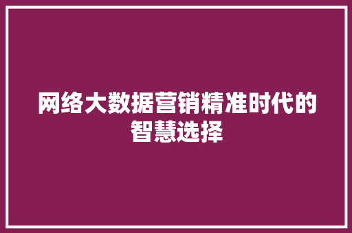 网络大数据营销精准时代的智慧选择