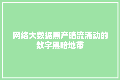 网络大数据黑产暗流涌动的数字黑暗地带