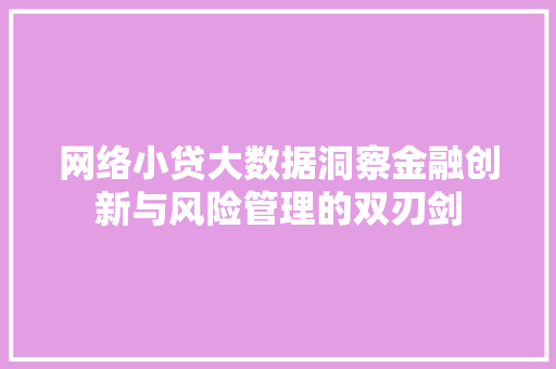 网络小贷大数据洞察金融创新与风险管理的双刃剑