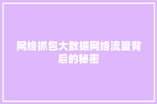 网络抓包大数据网络流量背后的秘密