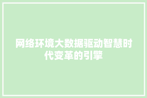 网络环境大数据驱动智慧时代变革的引擎
