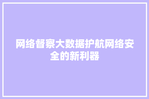 网络督察大数据护航网络安全的新利器