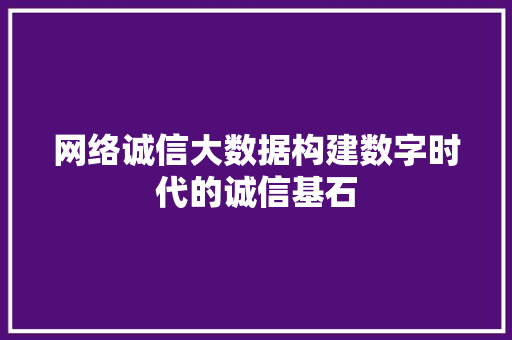 网络诚信大数据构建数字时代的诚信基石