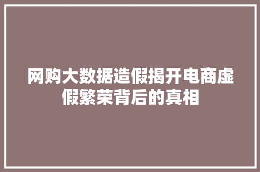 网购大数据造假揭开电商虚假繁荣背后的真相