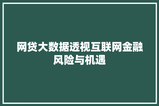 网贷大数据透视互联网金融风险与机遇 WordPress教程