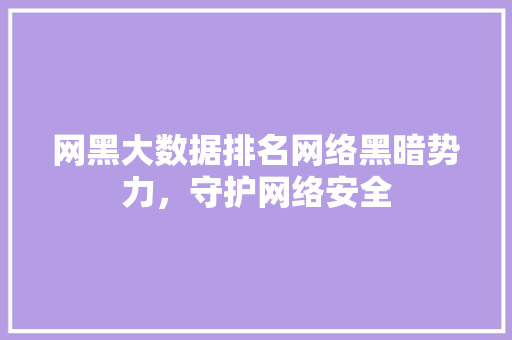 网黑大数据排名网络黑暗势力，守护网络安全
