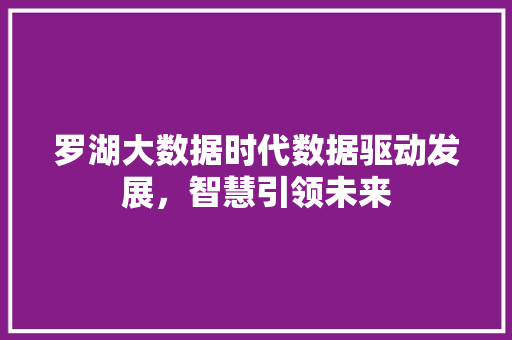 罗湖大数据时代数据驱动发展，智慧引领未来