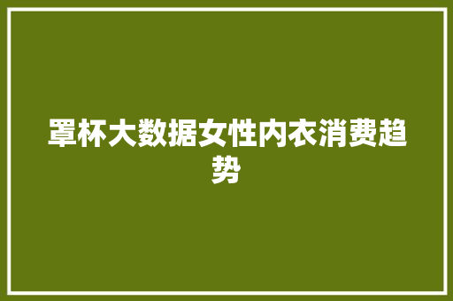 罩杯大数据女性内衣消费趋势