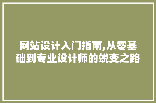 网站设计入门指南,从零基础到专业设计师的蜕变之路