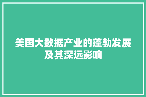 美国大数据产业的蓬勃发展及其深远影响