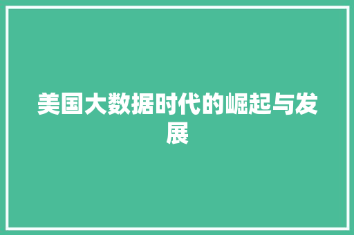 美国大数据时代的崛起与发展