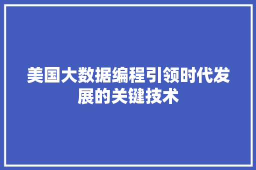美国大数据编程引领时代发展的关键技术