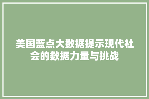 美国蓝点大数据提示现代社会的数据力量与挑战