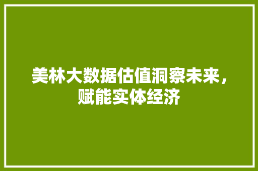 美林大数据估值洞察未来，赋能实体经济