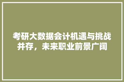 考研大数据会计机遇与挑战并存，未来职业前景广阔
