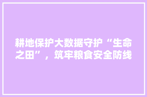 耕地保护大数据守护“生命之田”，筑牢粮食安全防线