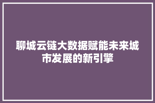 聊城云链大数据赋能未来城市发展的新引擎