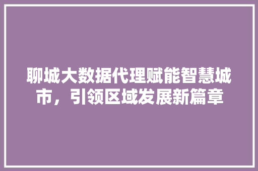 聊城大数据代理赋能智慧城市，引领区域发展新篇章