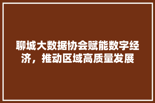 聊城大数据协会赋能数字经济，推动区域高质量发展