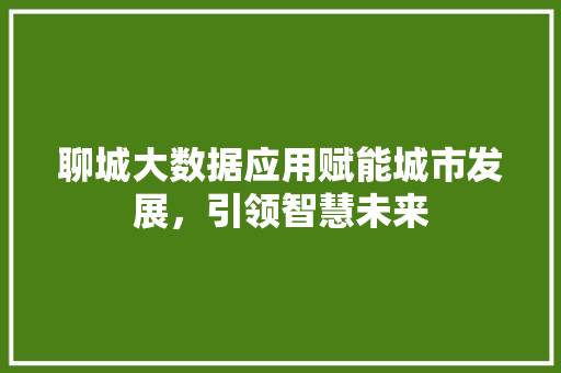 聊城大数据应用赋能城市发展，引领智慧未来