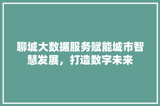 聊城大数据服务赋能城市智慧发展，打造数字未来