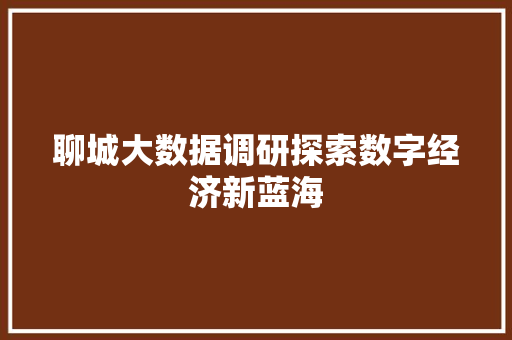 聊城大数据调研探索数字经济新蓝海