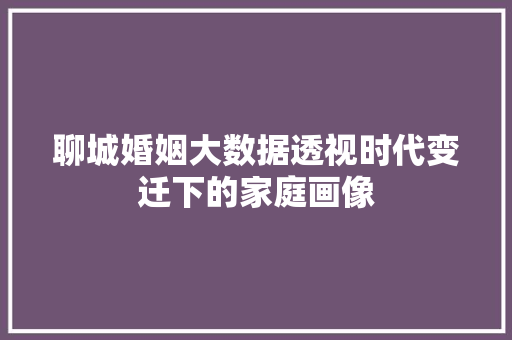聊城婚姻大数据透视时代变迁下的家庭画像