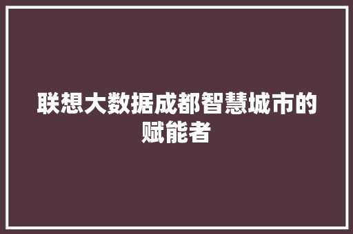 联想大数据成都智慧城市的赋能者 Web前端