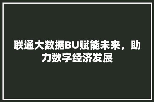 联通大数据BU赋能未来，助力数字经济发展