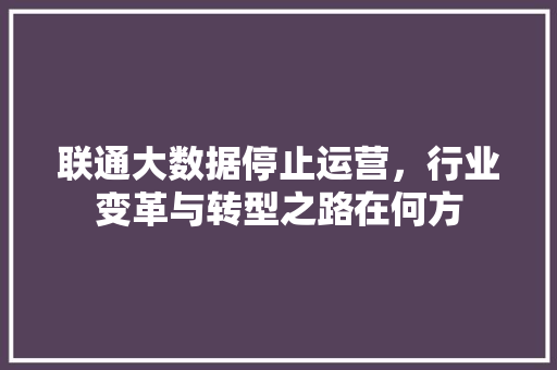 联通大数据停止运营，行业变革与转型之路在何方