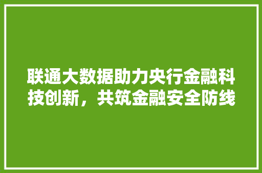 联通大数据助力央行金融科技创新，共筑金融安全防线