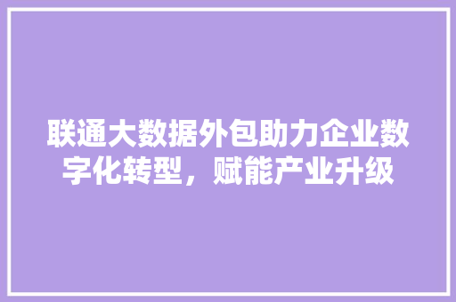 联通大数据外包助力企业数字化转型，赋能产业升级