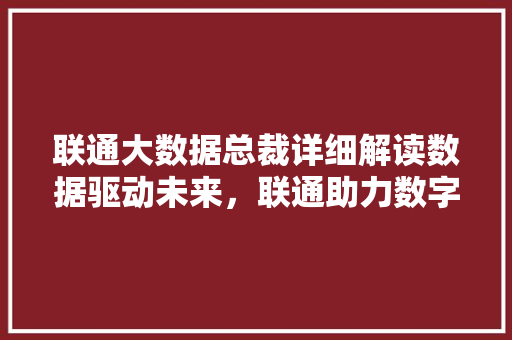 联通大数据总裁详细解读数据驱动未来，联通助力数字经济腾飞