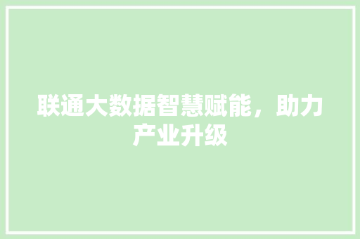 联通大数据智慧赋能，助力产业升级