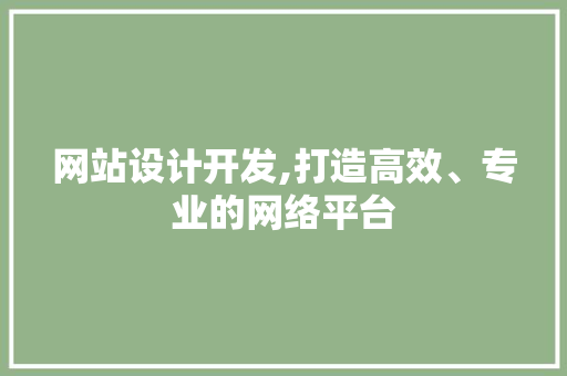 网站设计开发,打造高效、专业的网络平台