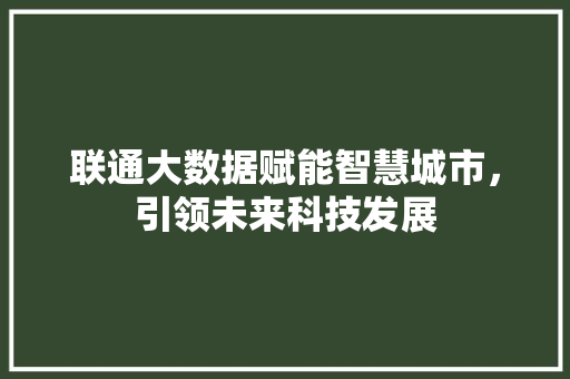 联通大数据赋能智慧城市，引领未来科技发展
