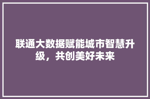 联通大数据赋能城市智慧升级，共创美好未来