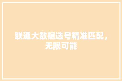 联通大数据选号精准匹配，无限可能