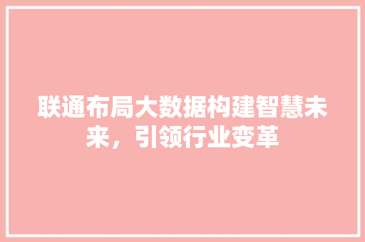 联通布局大数据构建智慧未来，引领行业变革