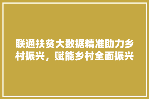 联通扶贫大数据精准助力乡村振兴，赋能乡村全面振兴之路