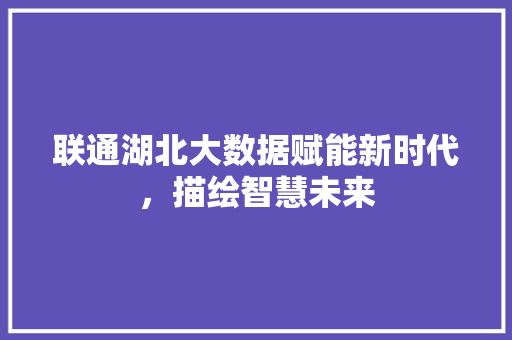 联通湖北大数据赋能新时代，描绘智慧未来