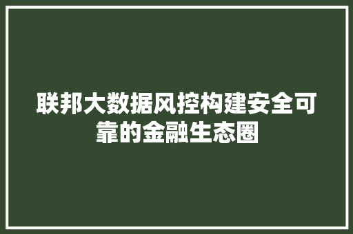 联邦大数据风控构建安全可靠的金融生态圈